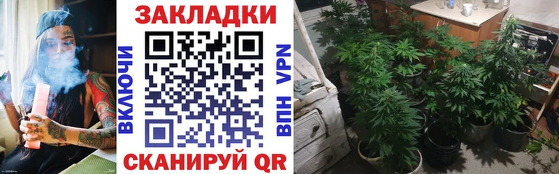 Где купить наркотики Строитель Cocaine Мефедрон Галлюциногенные грибы Альфа ПВП МАРИХУАНА KRAKEN рабочий сайт Гашиш