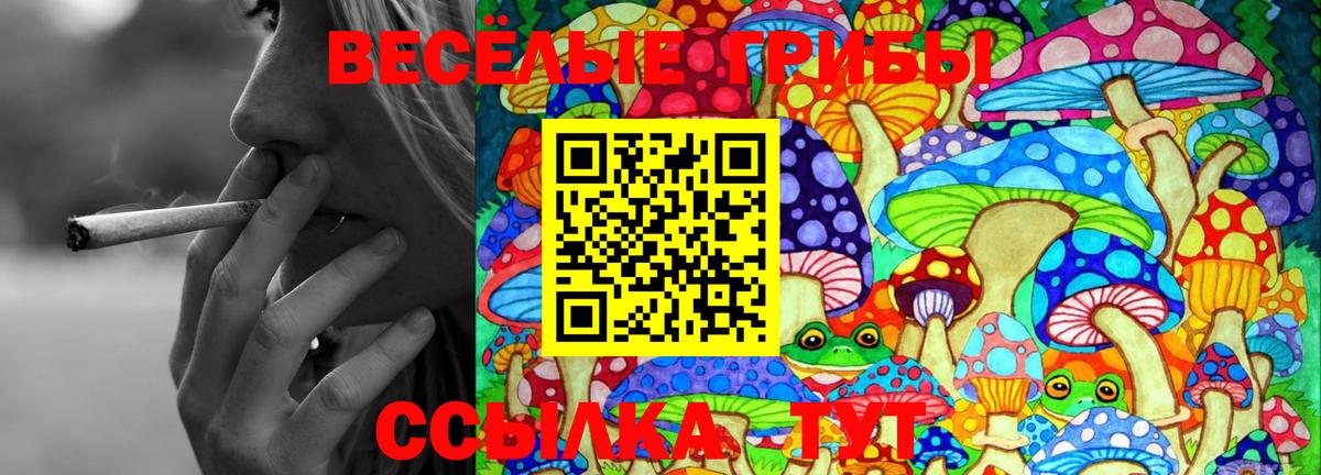 Галлюциногенные грибы Psilocybe  Псилоцибиновые грибы прущие грибы  Строитель  Вход с VPN 
